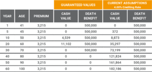 Universal Life Insurance Policy Reviews