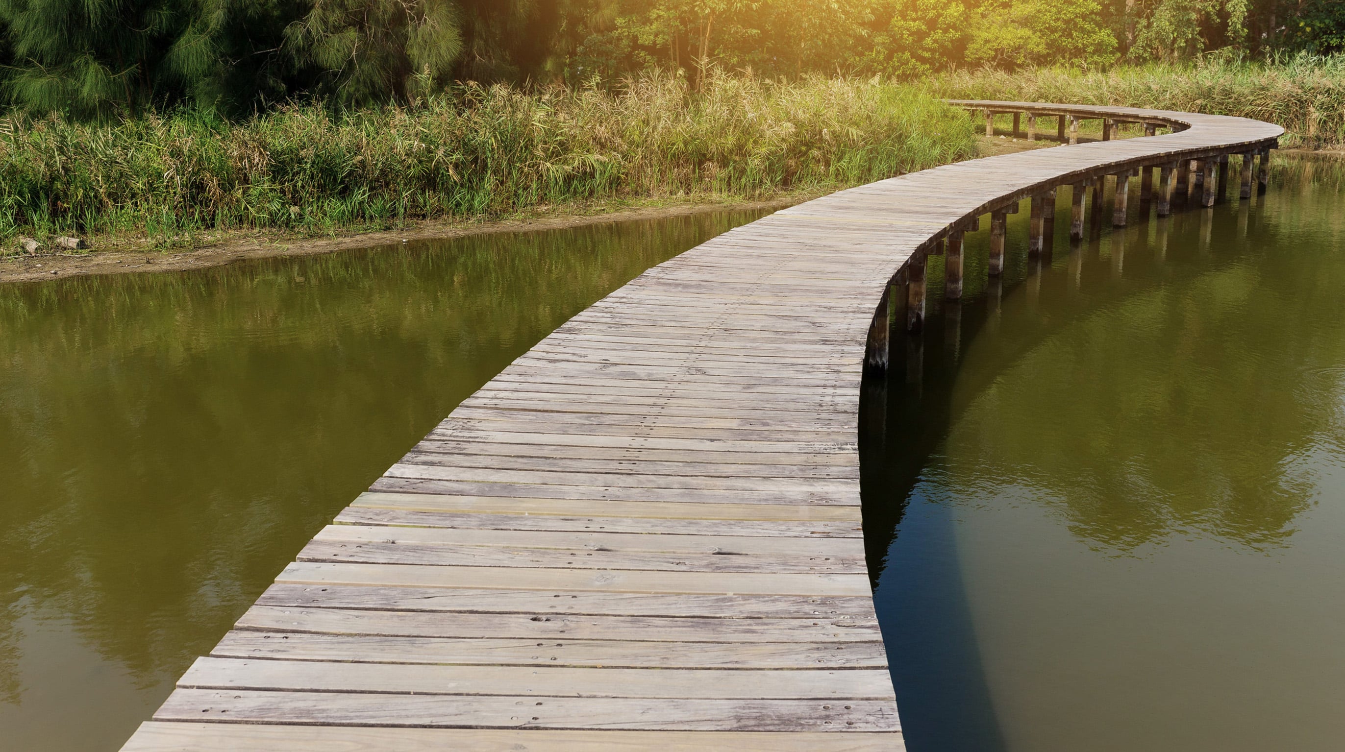 Curved wooden boardwalk over calm water symbolizing structured premium financing life insurance planning
