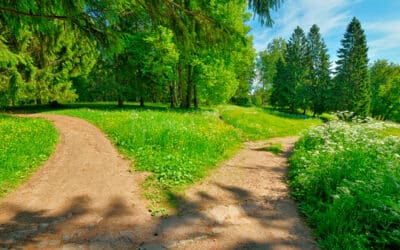 Premium Financing vs. Paying Cash for Life Insurance: How to Evaluate the Right Approach
