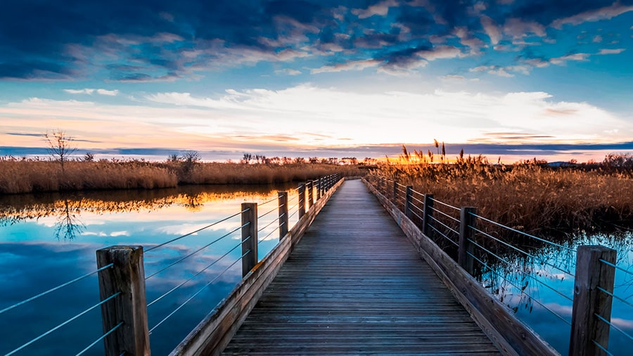 Boardwalk leading toward the horizon representing business succession and buy-sell planning with life insurance