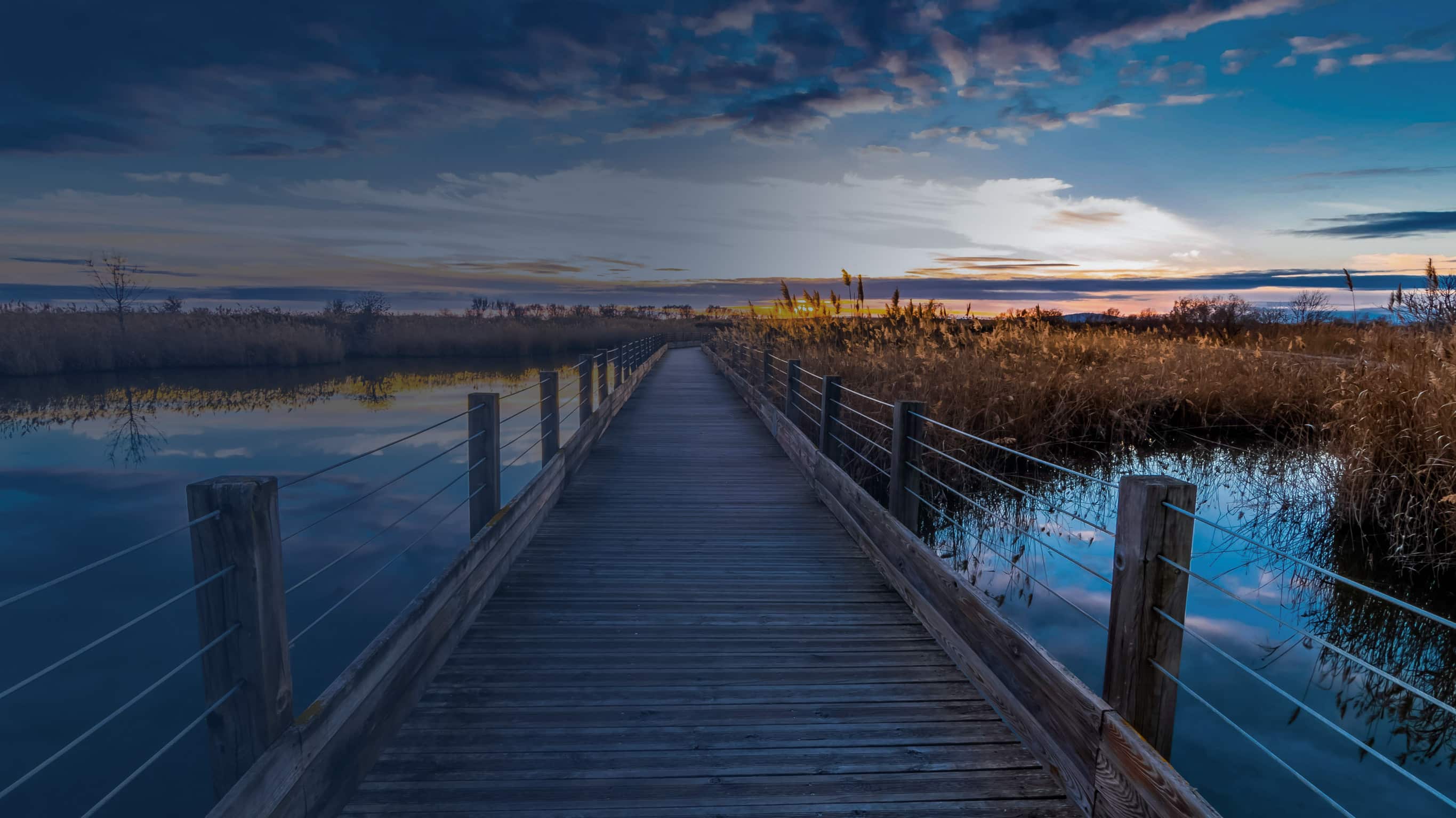 Boardwalk leading toward the horizon representing ownership transition and business continuity in buy-sell planning.
