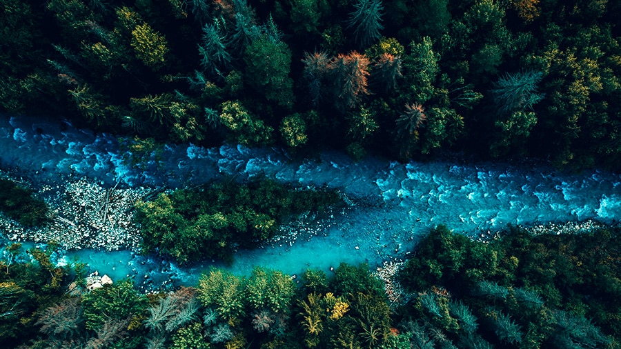Aerial view of a river through a forest representing split dollar life insurance planning strategies